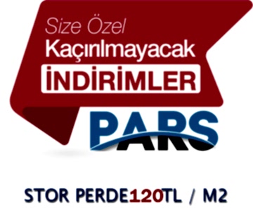 Team Member image